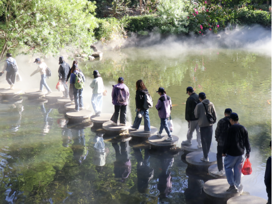 1764741482104547.png image.png