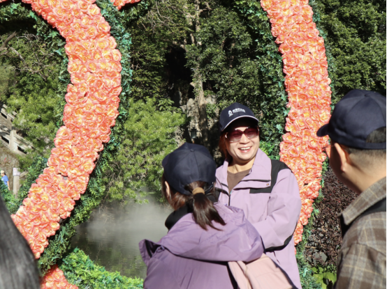 1764741498482120.png image.png