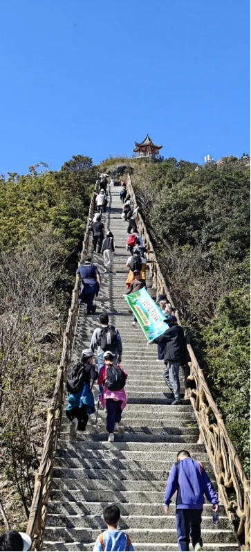 1764741545158257.png image.png