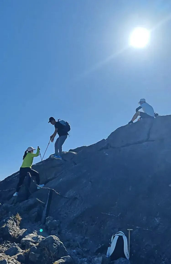 1764741551607920.png image.png