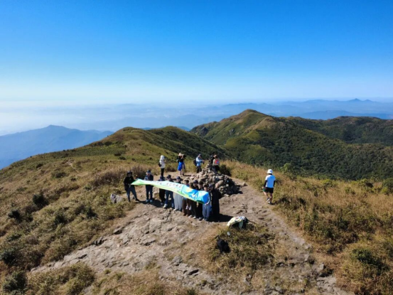 1764741559930994.png image.png